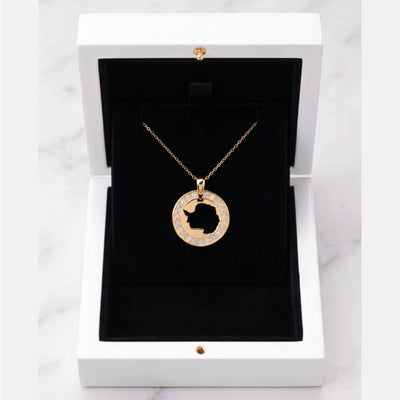 A gold pendant necklace with a diamond outer ring featuring a cutout map of Antarctica displayed inside an open white jewelry box with a black velvet lining.