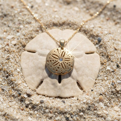 Sand dollar
