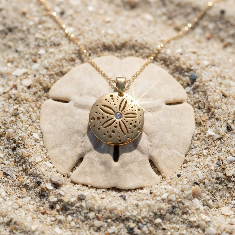 Sand dollar